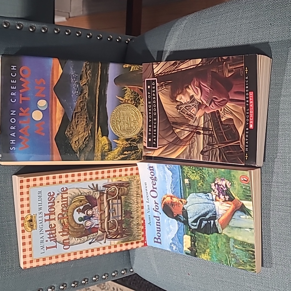 Lot of 4 Kids Book Bundle